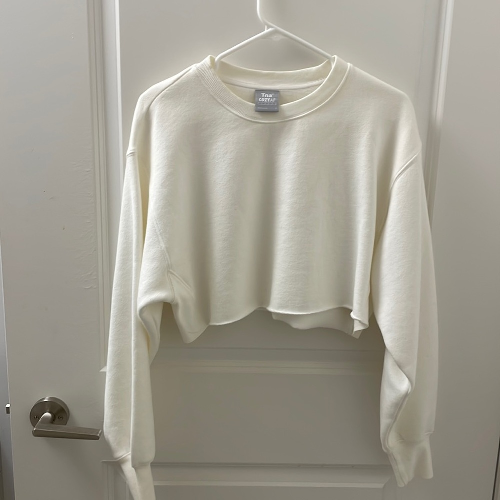 Aritzia TNA short hoodie